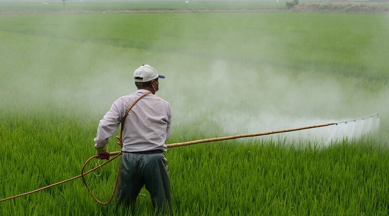 Efeitos nocivos dos Pesticidas na Saúde Humana