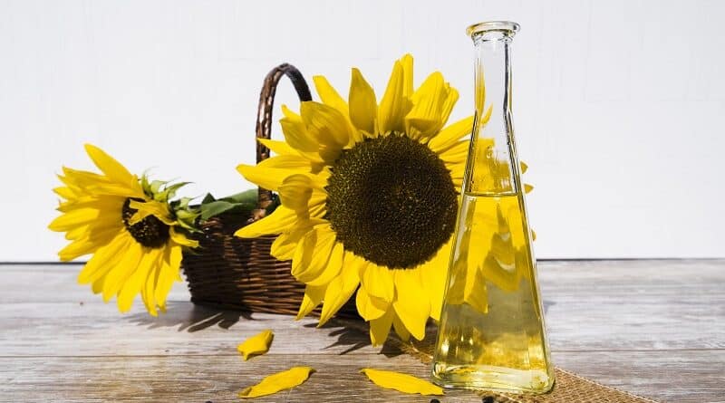 Dlaczego olej słonecznikowy jest świetny dla Twojej skóry i jego zalety
