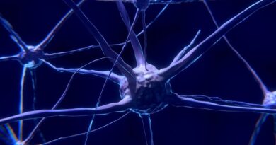Urter til behandling af lidelser i nervesystemet