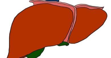 Qué es el hígado graso y cómo eliminarlo