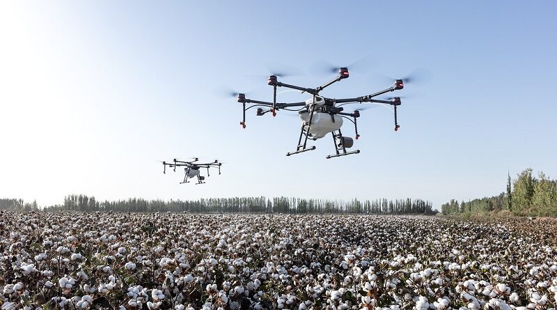 A mesterséges intelligencia piacának mozgatórugói a mezőgazdaságban