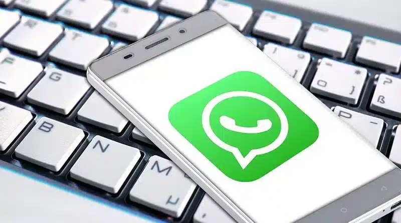 WhatsApp développe des fonctionnalités pour des avatars IA personnalisés