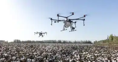 Inteligencia artificial en la agricultura: Agricultura de precisión y más allá