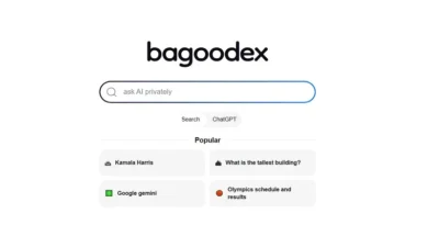 Bagoodex: Продвинутая поисковая система и чат-платформа